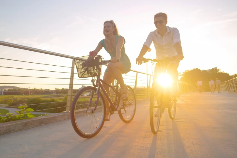 shutterstock_2472117685