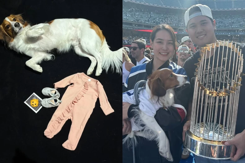 大谷翔平將當爸