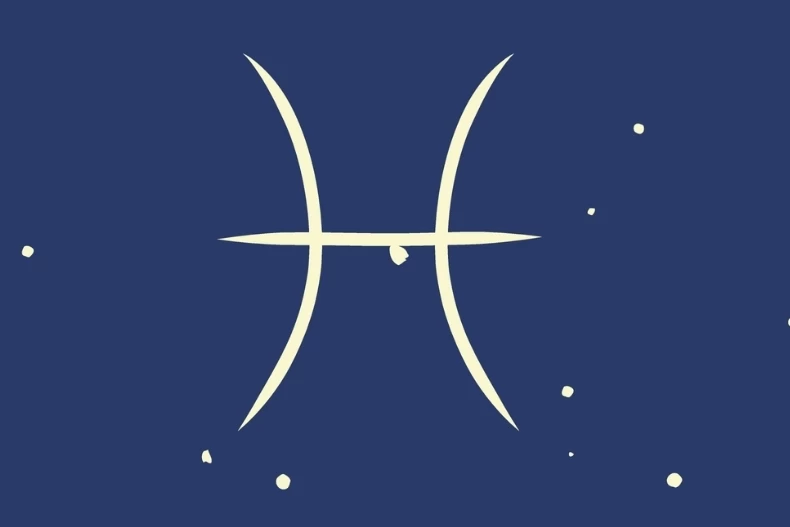 小寒節氣前後財運最旺星座TOP 2.雙魚座