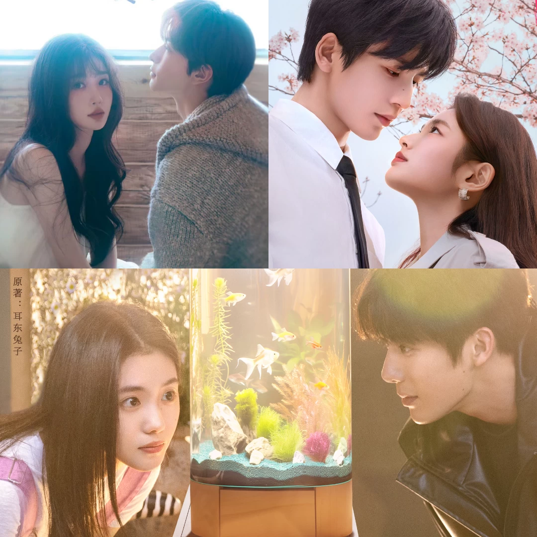 2025陸劇推薦甜寵劇20+部:《陷入我們的熱戀》《許我耀眼》必追