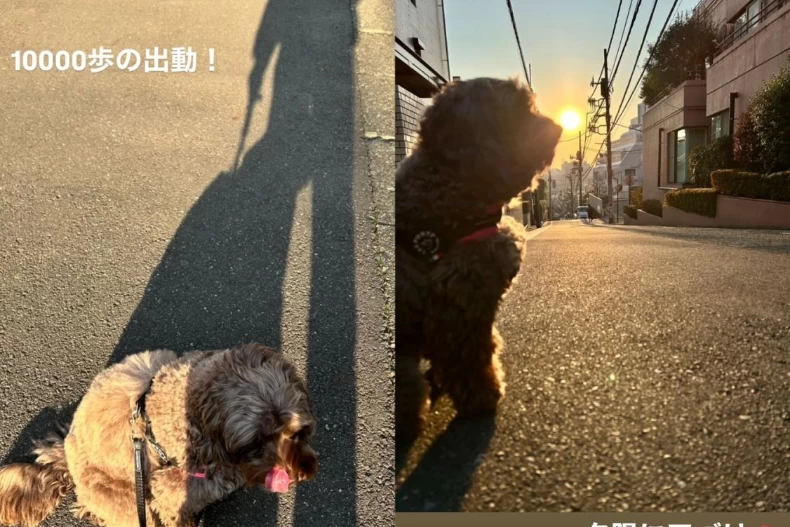木村拓哉反應引熱議