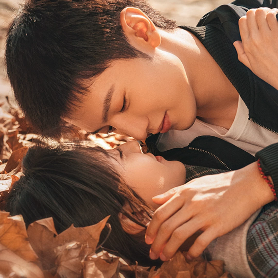 《白色橄欖樹》線上看劇情5亮點!陳哲遠梁潔「戰地虐戀」結局BE