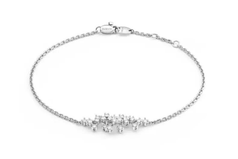 DAMIANI