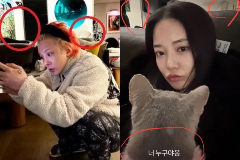 李珠妍限動出現GD家裝潢與貓