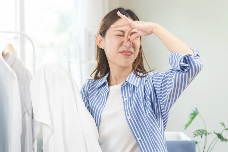 shutterstock_2422143581