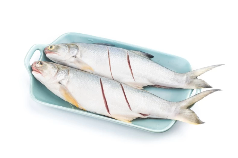 三清午仔魚