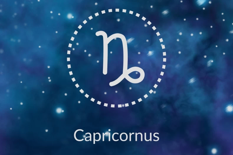 只想浪費在重要的人的星座1.摩羯座