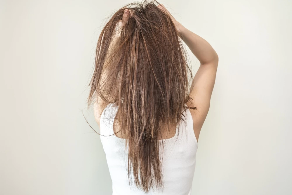 shutterstock_2446897711