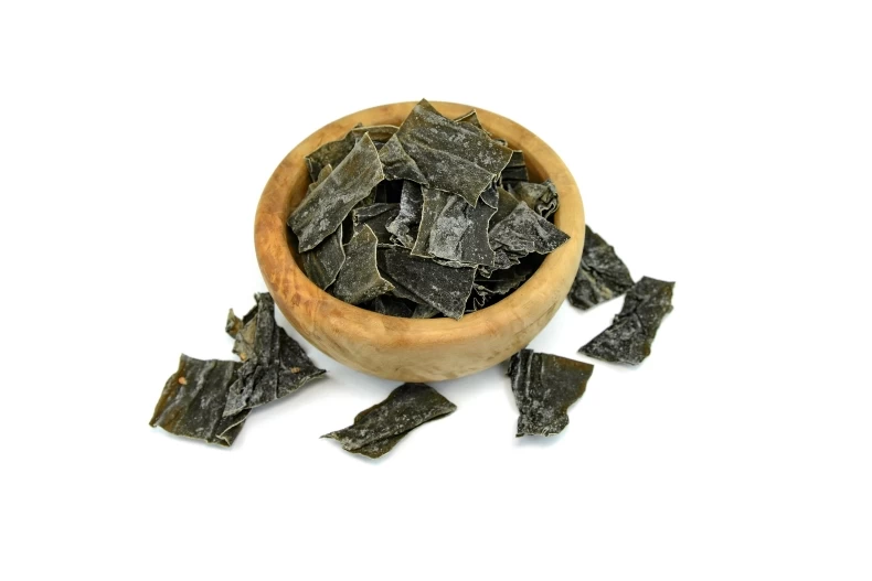 shutterstock_2621277417