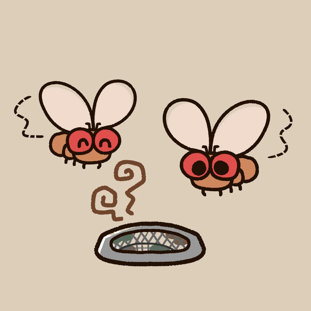 果蠅如何消滅？果蠅怎麼來的？5招天然驅蟲＋3個關鍵習慣，一次搞懂殲滅全攻略