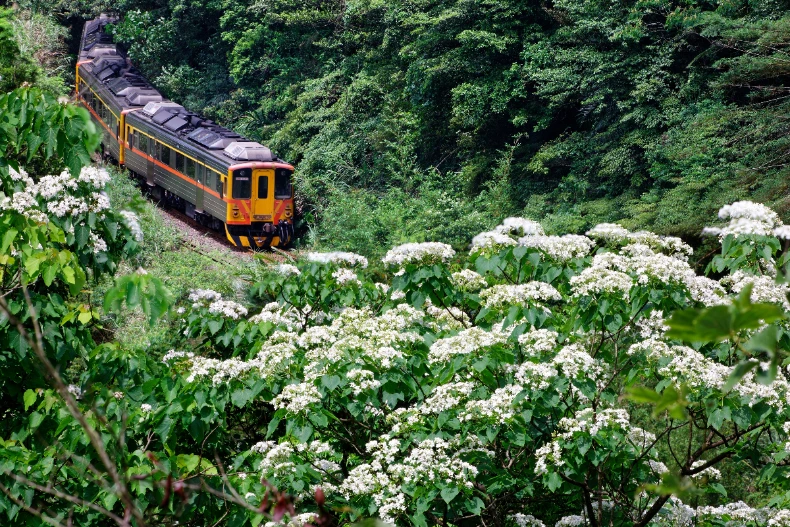 FotoJet - 2025-07-01T174026.346
