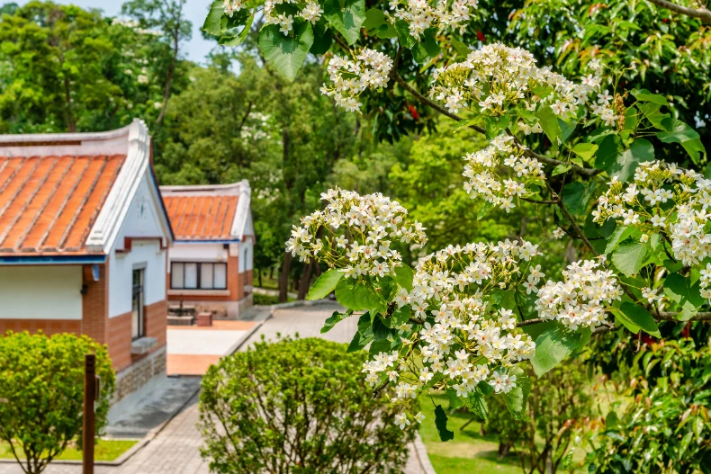 FotoJet - 2025-07-01T174039.468