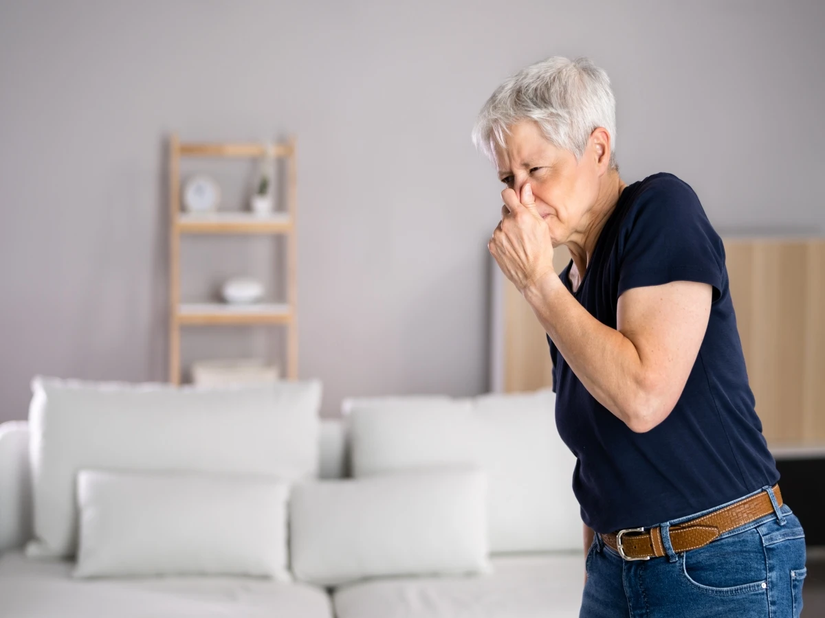 shutterstock_2192100035