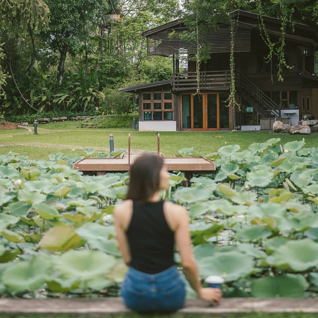 2025清邁自由行！泰國旅遊地圖：10間文青咖啡廳、夜市、按摩、住宿交通推薦