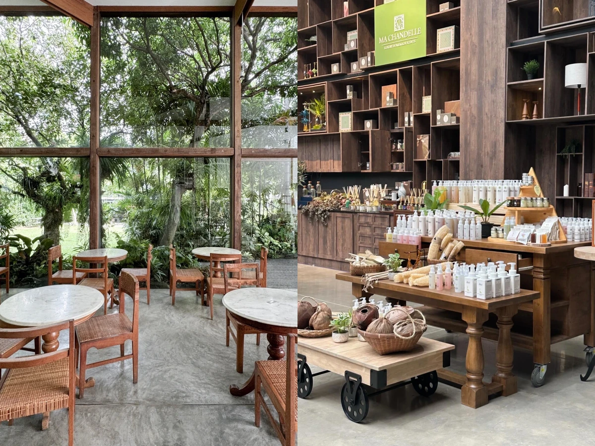 8.Patom Organic Living