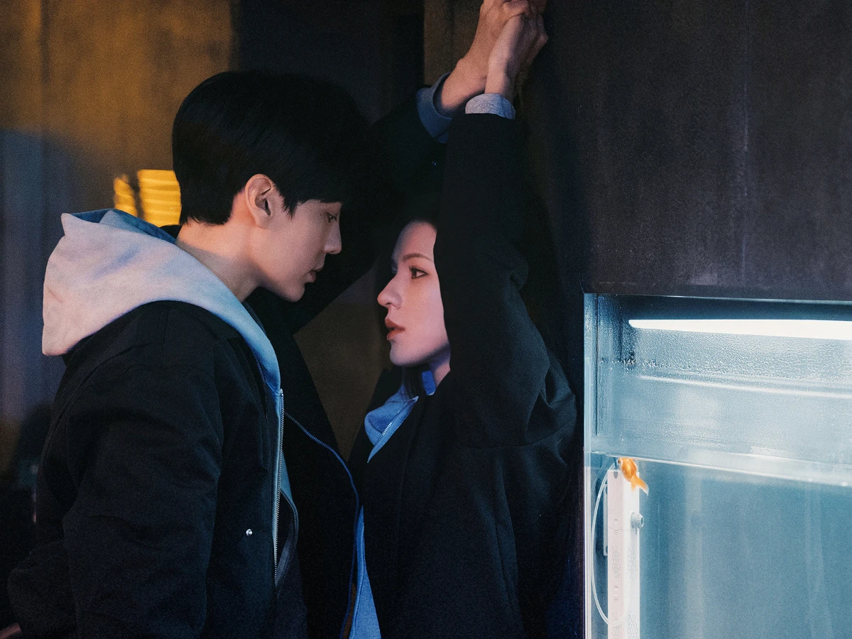 劇情亮點1.原著作者是晉江高人氣作家