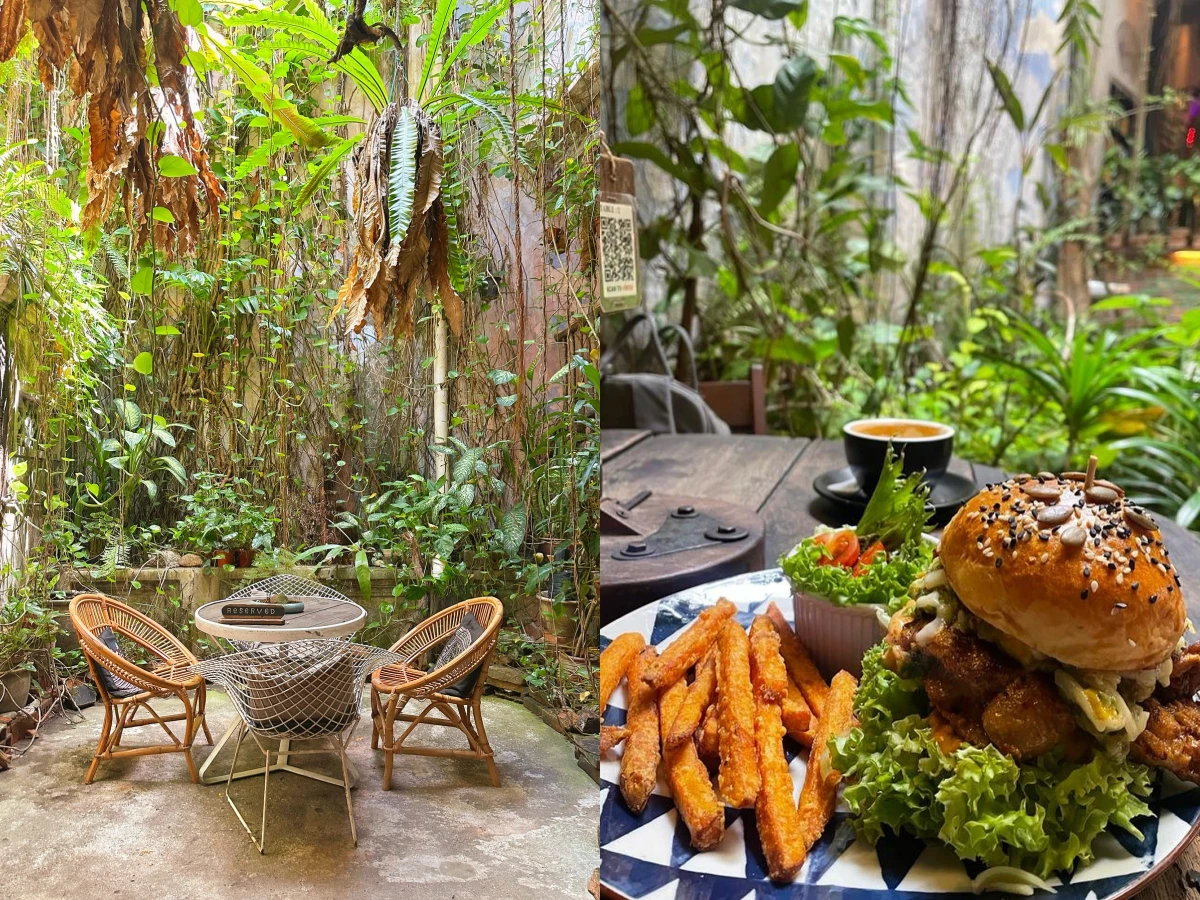 11 - The Baboon House