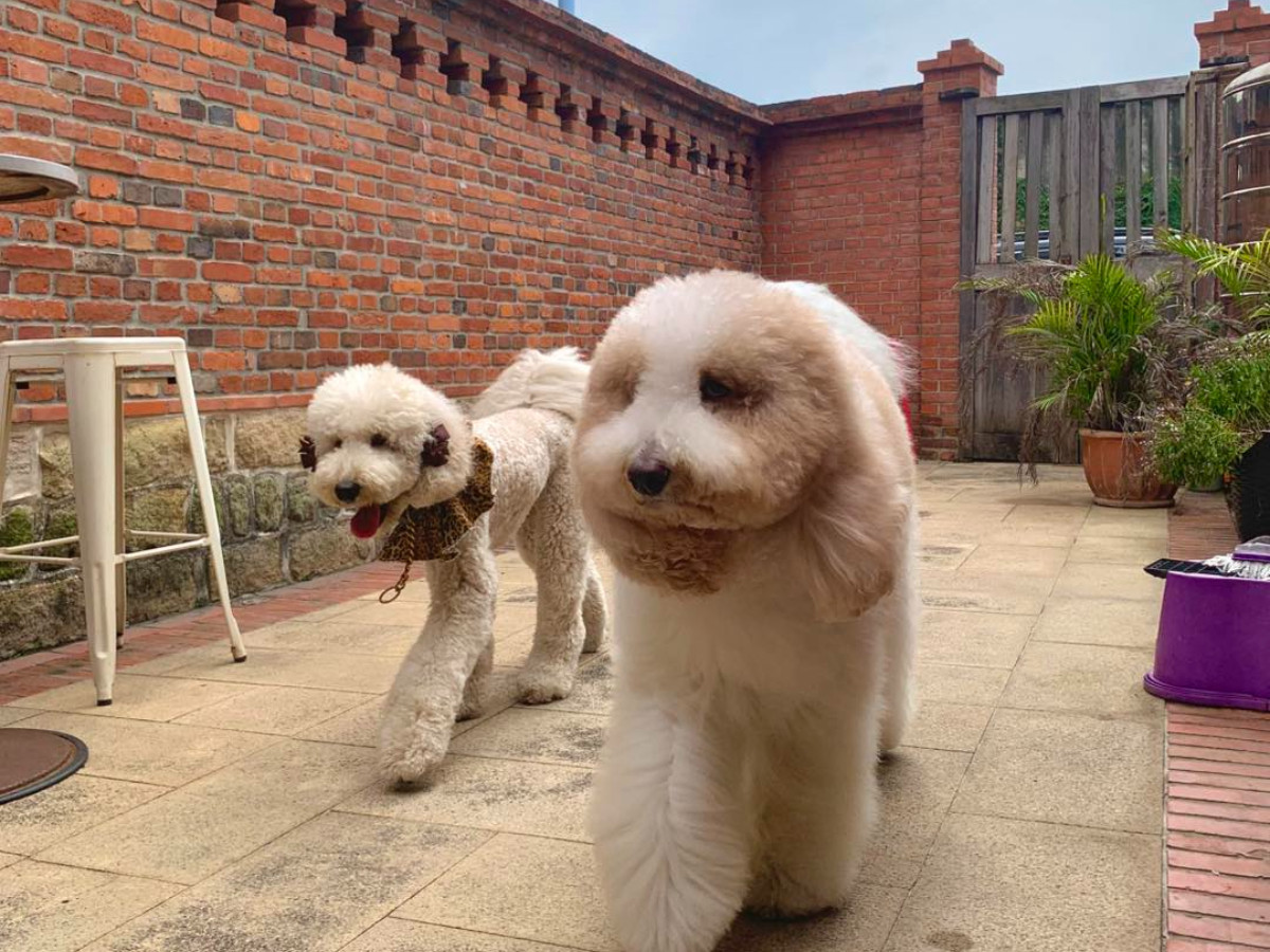 FotoJet - 2025-07-31T204651.193