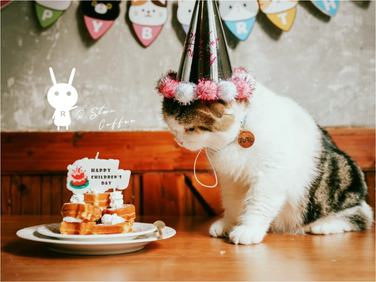 FotoJet - 2025-08-01T191447.828