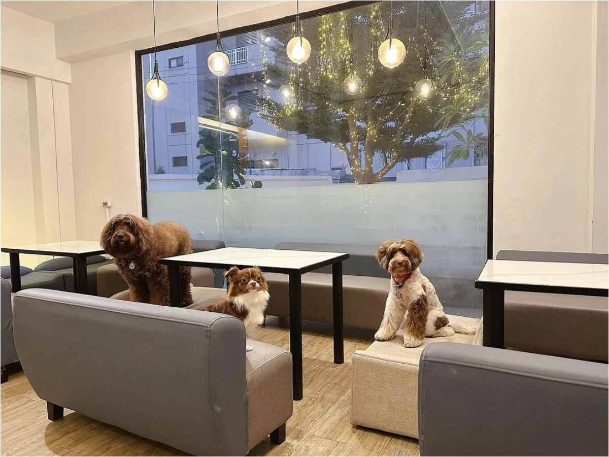 FotoJet - 2025-08-01T191215.628