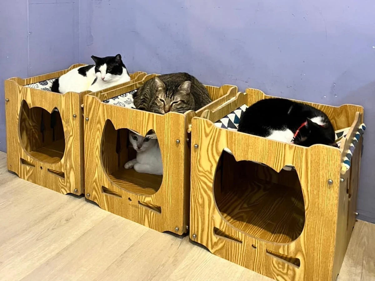 FotoJet - 2025-08-03T205836.784