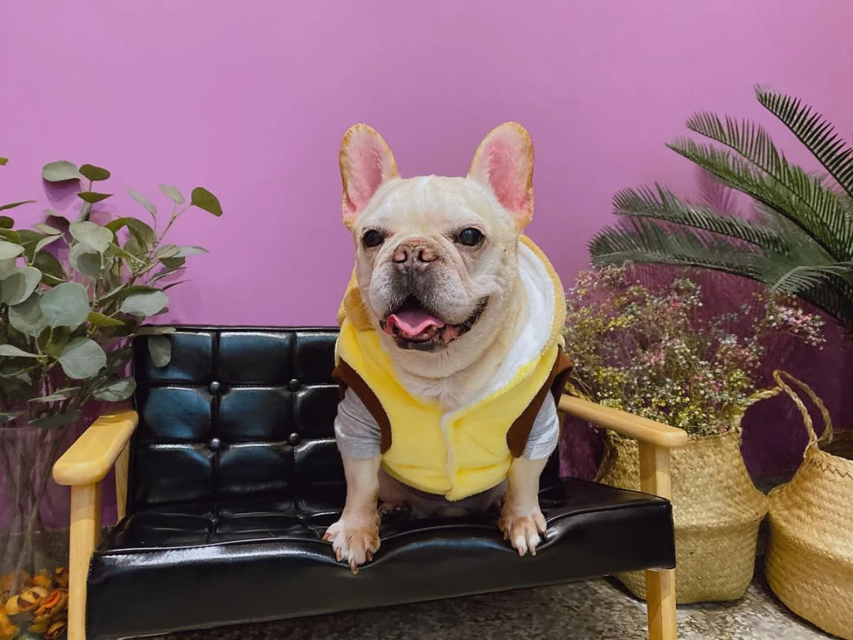 FotoJet - 2025-08-03T205912.925