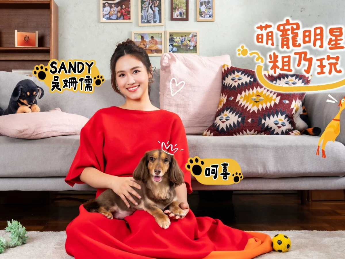 全新一季強勢回歸