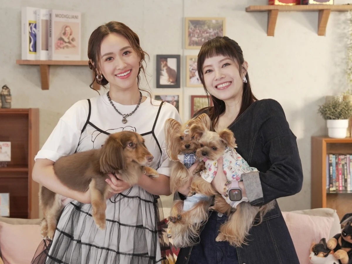 超華麗嘉賓陣容