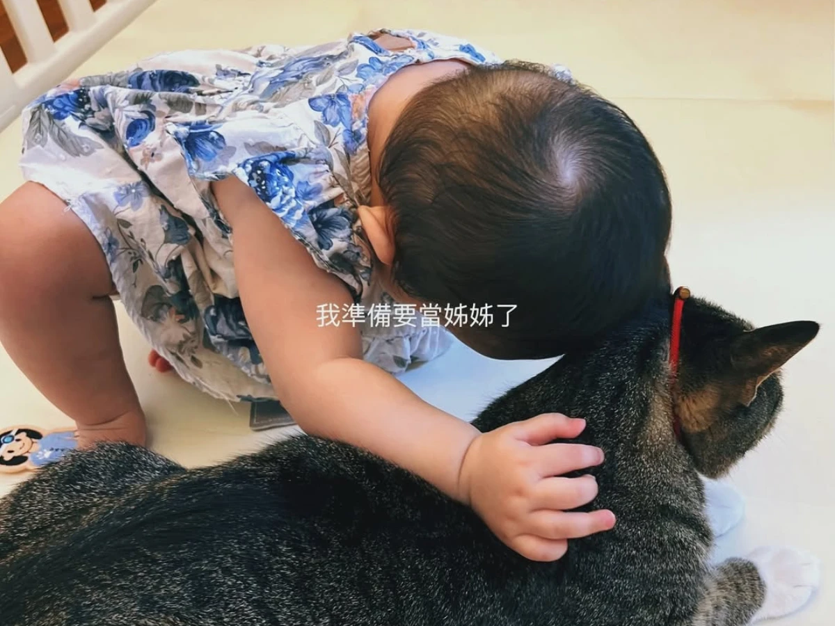 曾坦言暫緩2胎進度「不想瓜分給女兒的愛」