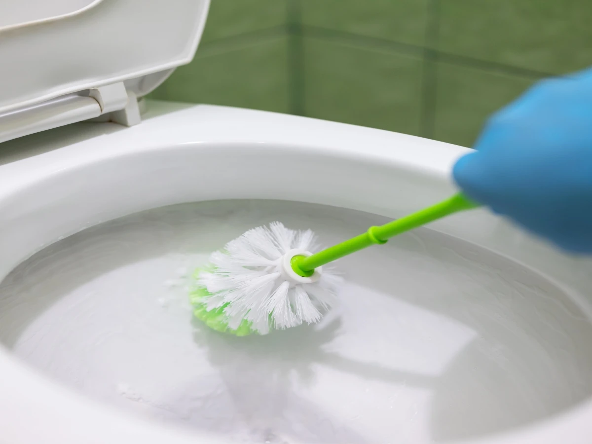 shutterstock_2512105717