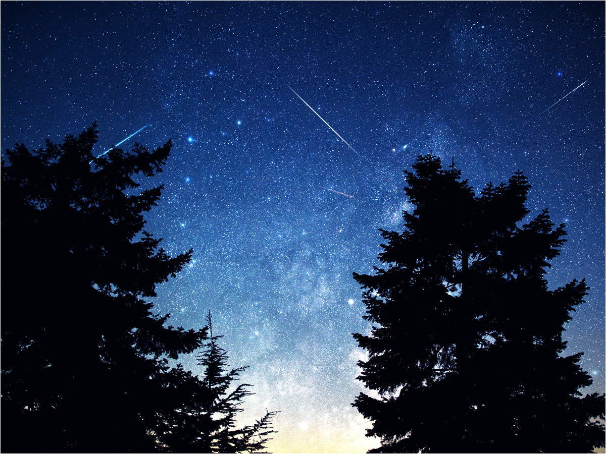 FotoJet - 2025-08-12T103928.662