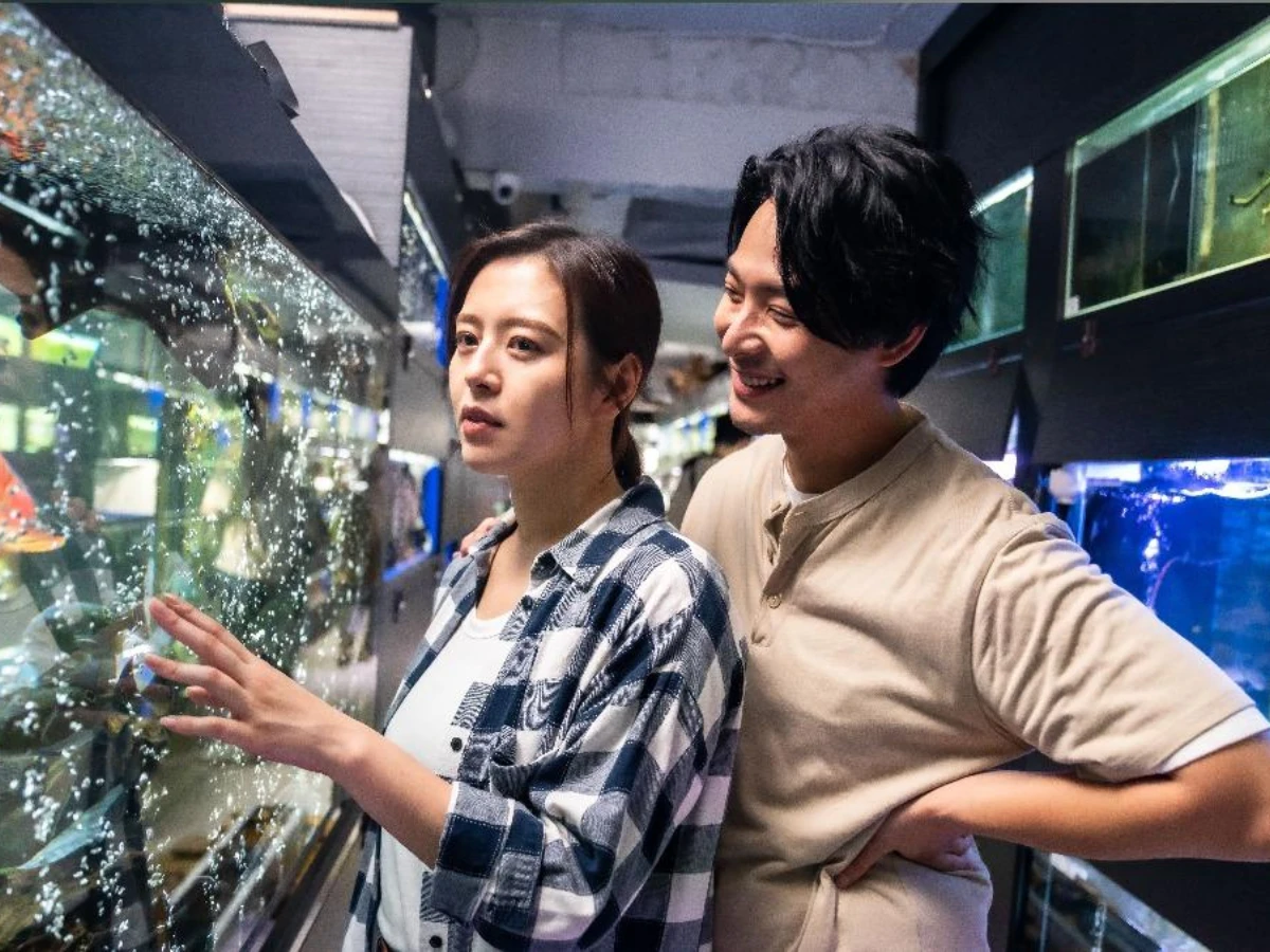 《舊金山美容院》同樣令人期待