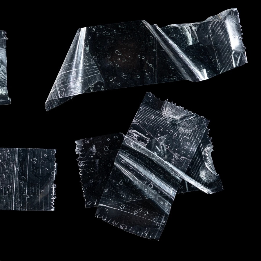 shutterstock_2390354745