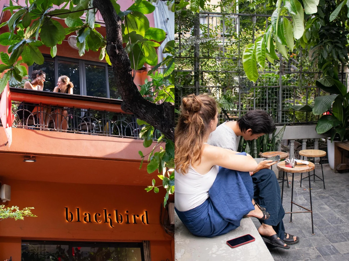 8 - Blackbird Coffee