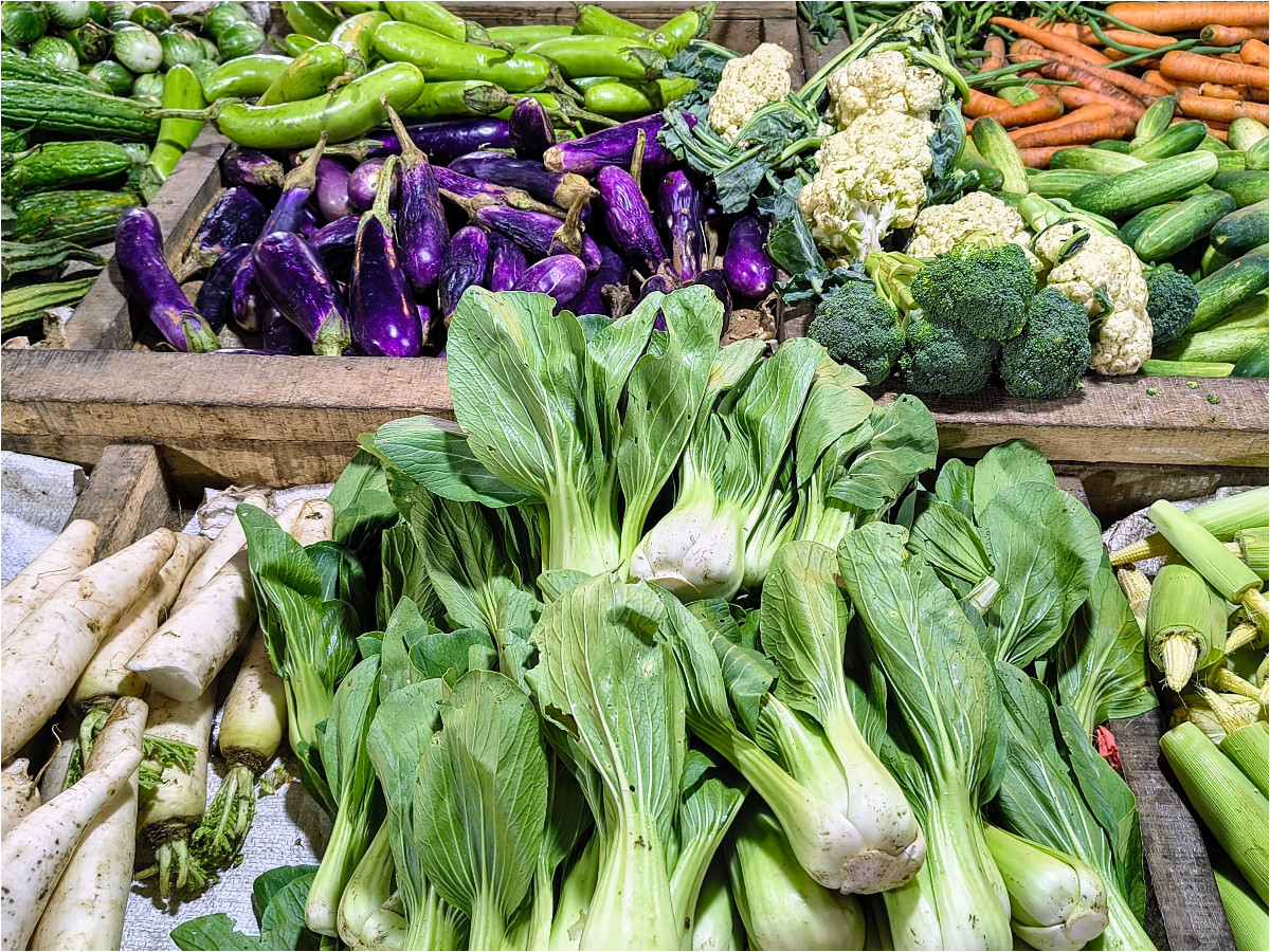 FotoJet - 2025-08-13T184752.505