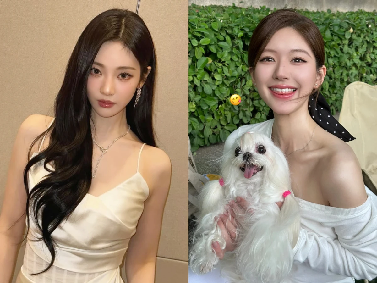 10秒測出動物相！你是貓系、豬系還是狐狸系長相？看五官特徵＋穿搭靈感一次解析|女人我最大