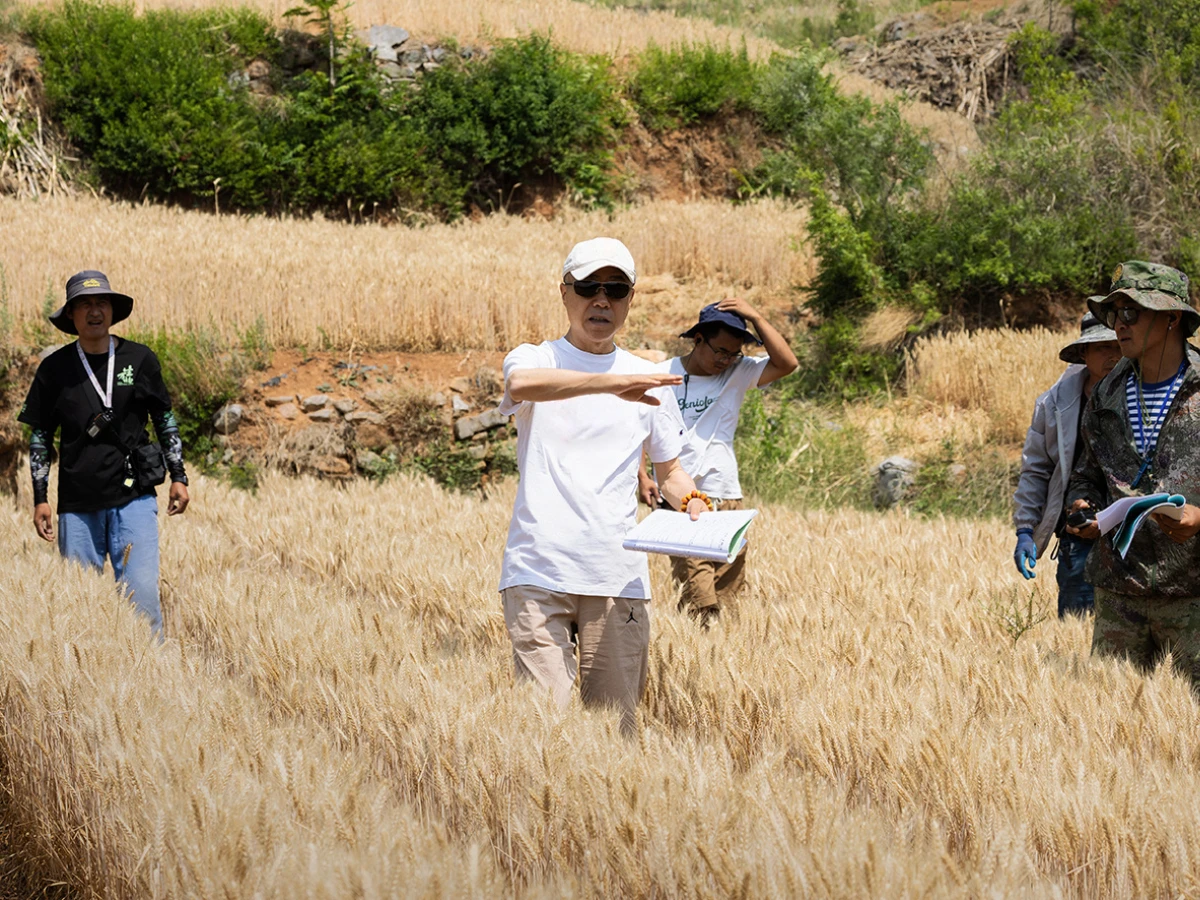 劇情亮點5.導演頻創「經典」爆火預定