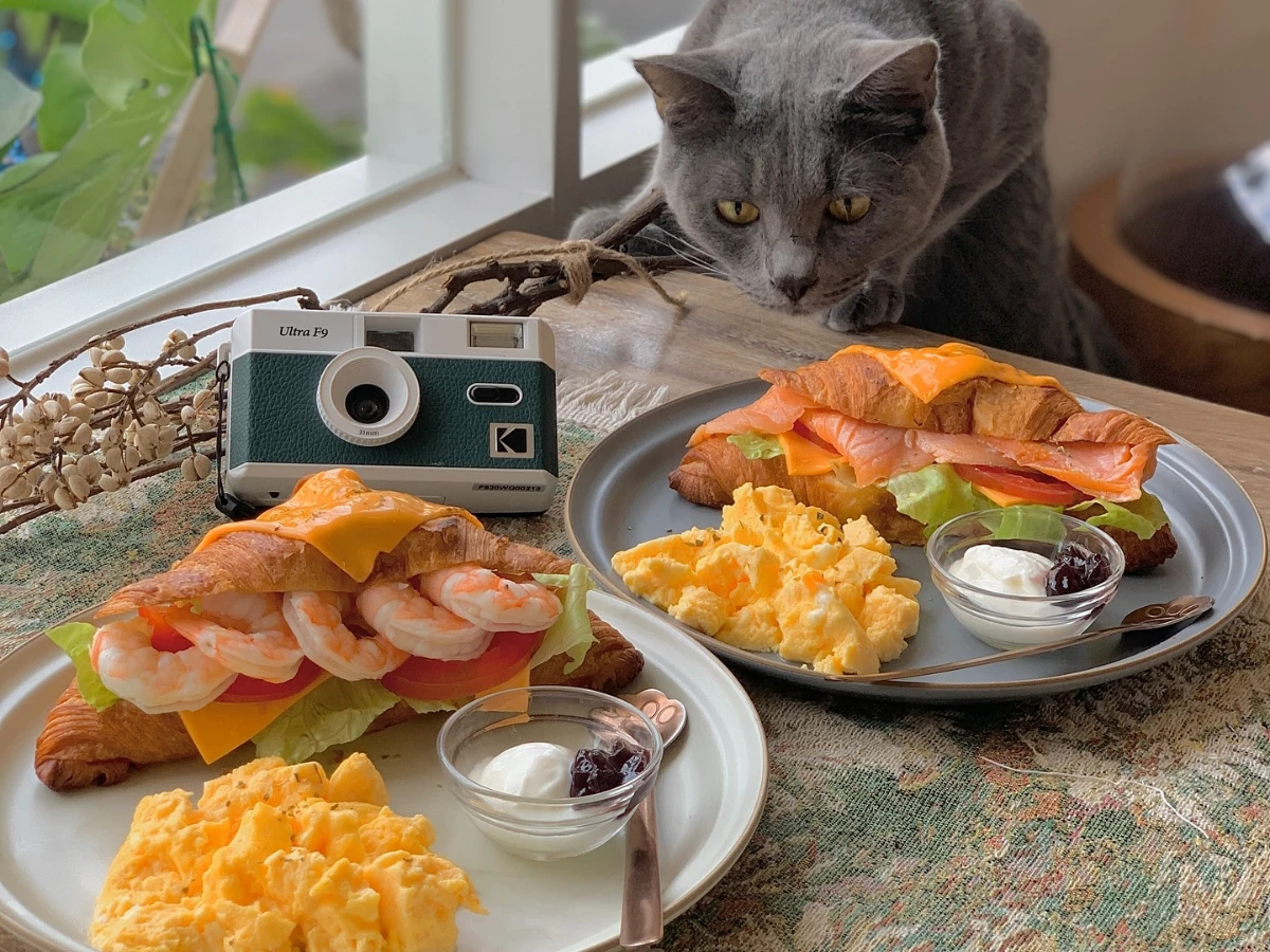 FotoJet - 2025-08-17T174131.758