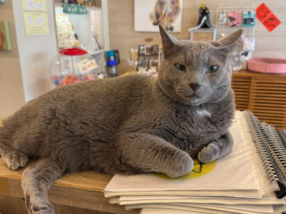 FotoJet - 2025-08-17T171050.101