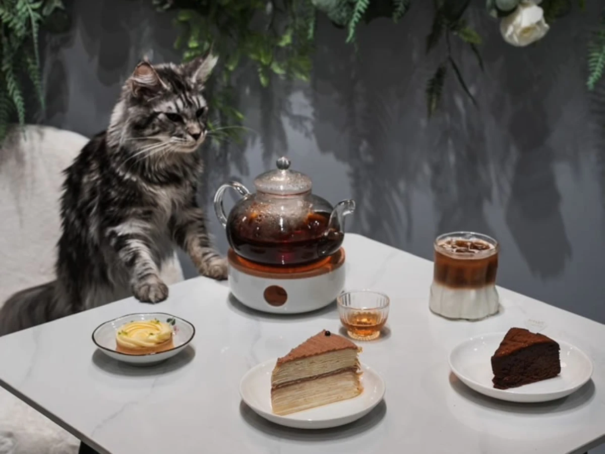 FotoJet - 2025-08-18T003937.688