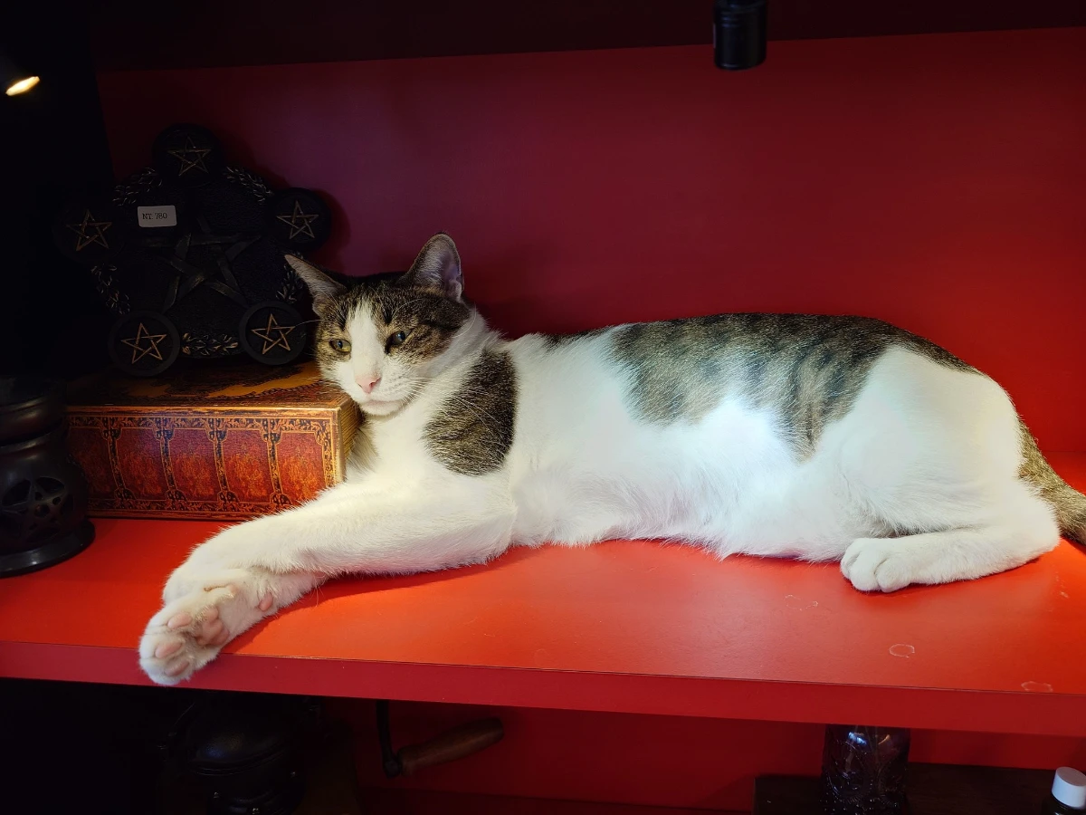 FotoJet - 2025-08-17T135439.710