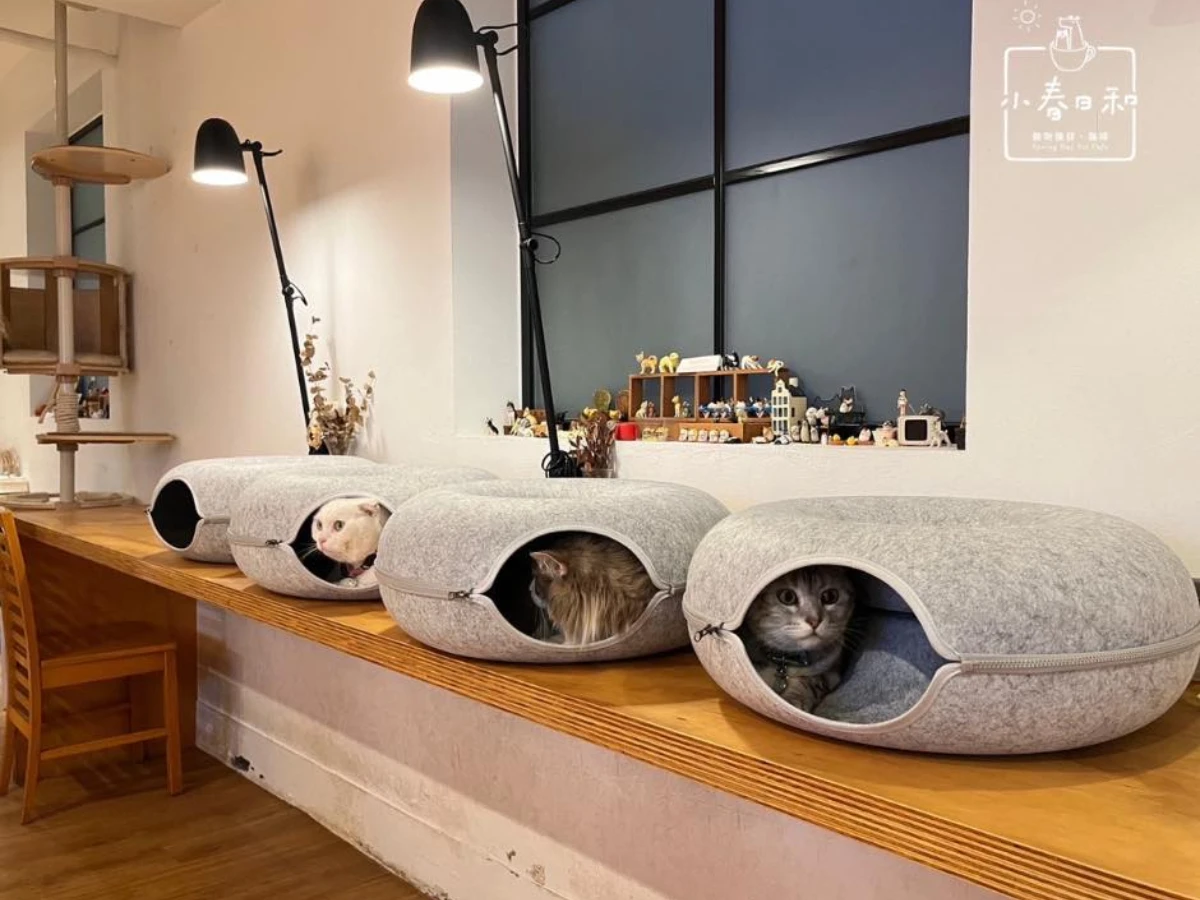 FotoJet - 2025-08-18T004422.784