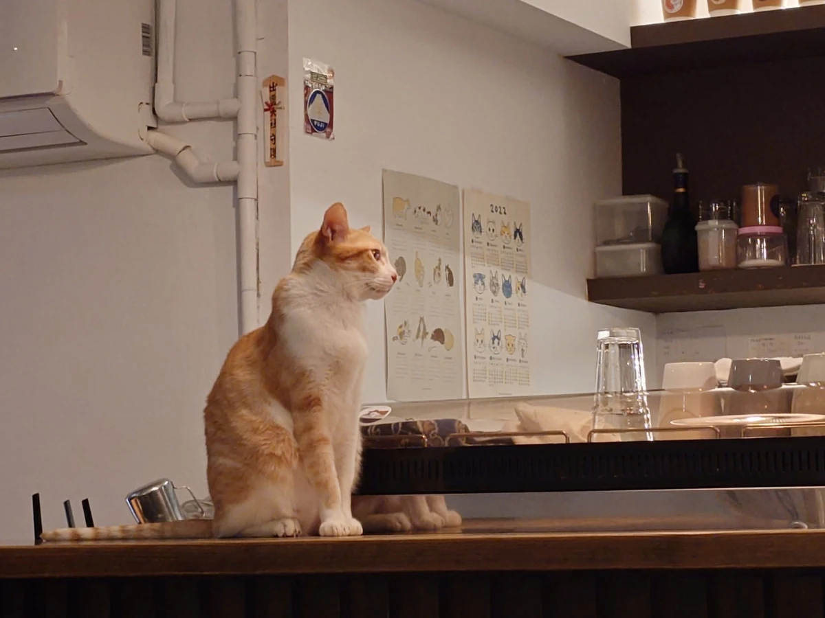 FotoJet - 2025-08-18T004519.474