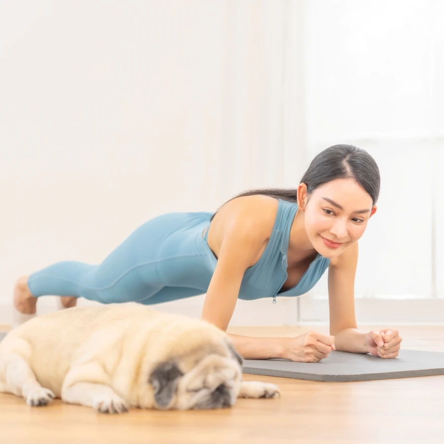 shutterstock_2652450883