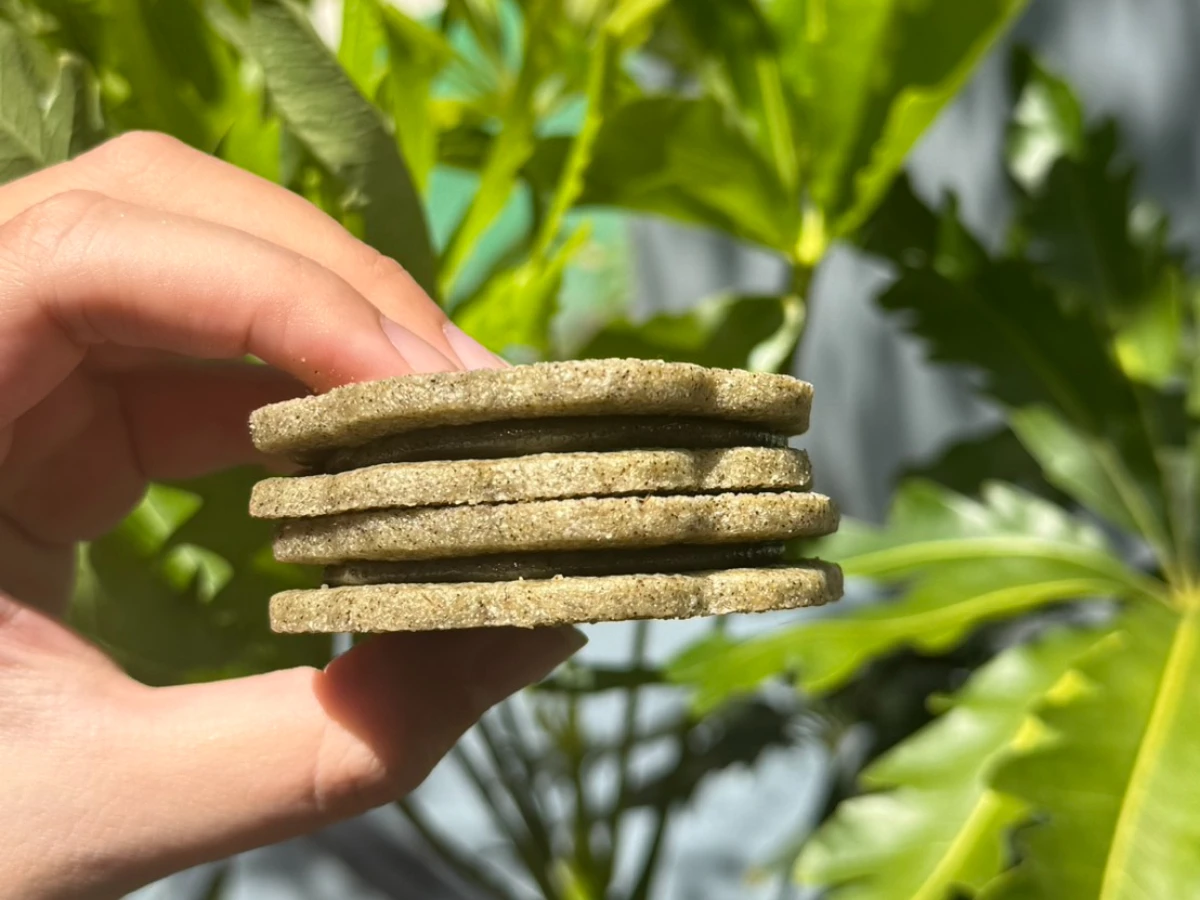 FotoJet - 2025-08-22T134339.696