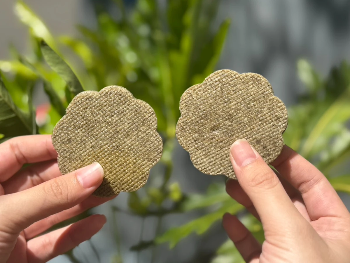 FotoJet - 2025-08-22T134028.245