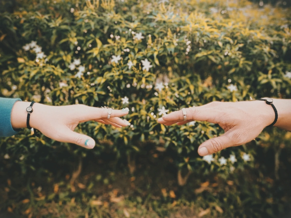 選擇D：&nbsp;你目前最缺乏的是桃花運