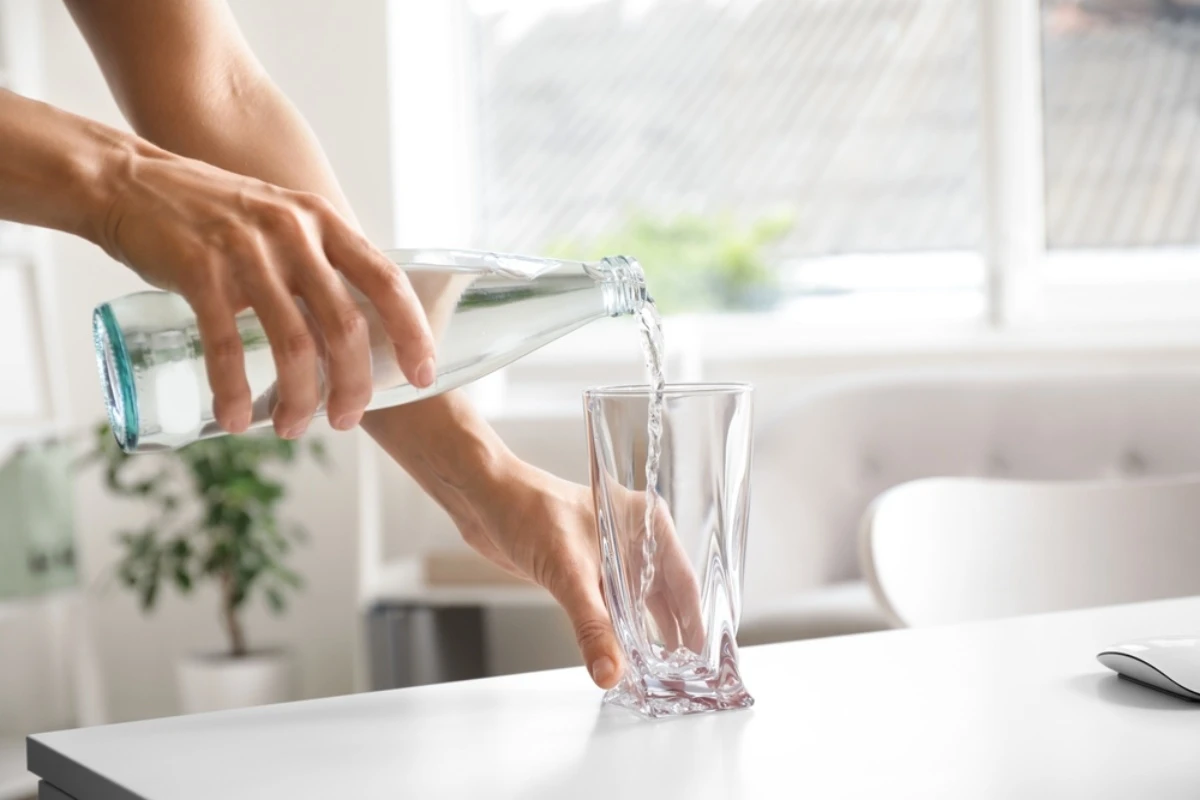 batch_shutterstock_2481827143