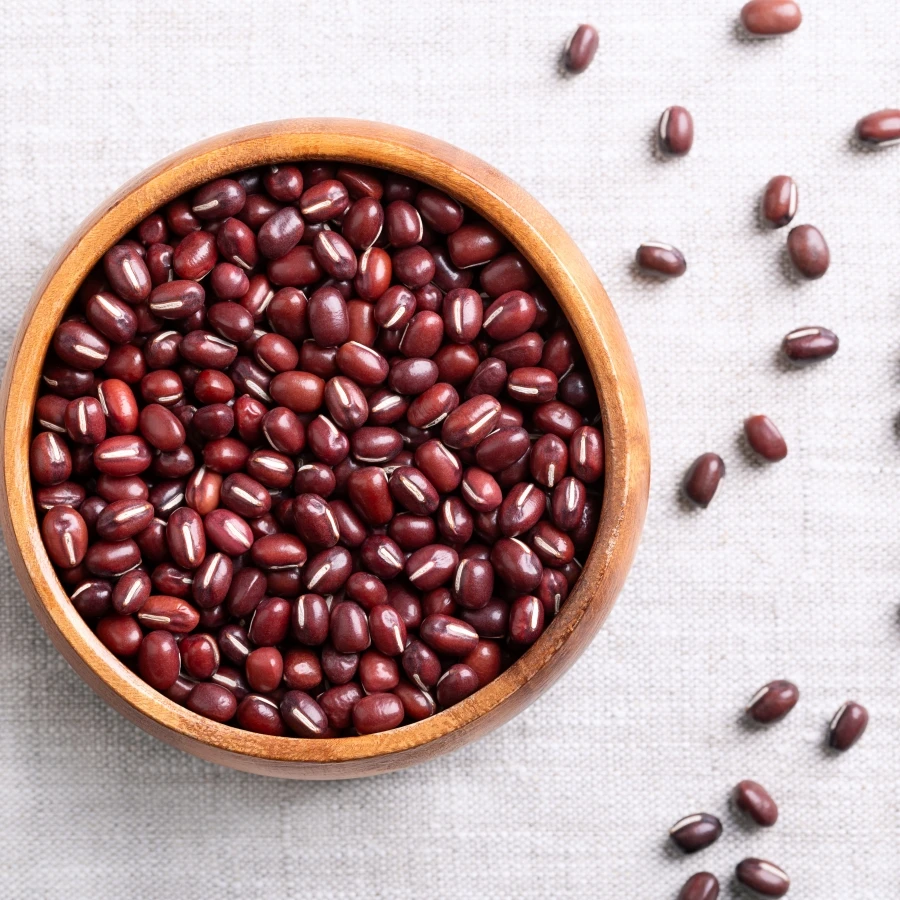 shutterstock_2509119739