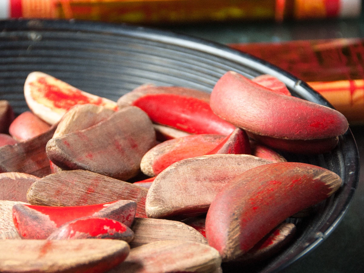 FotoJet - 2025-08-26T124540.847